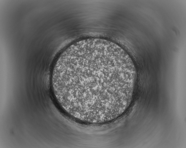 X0000111600016200908131413