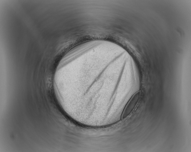 X0000111600017200908131413
