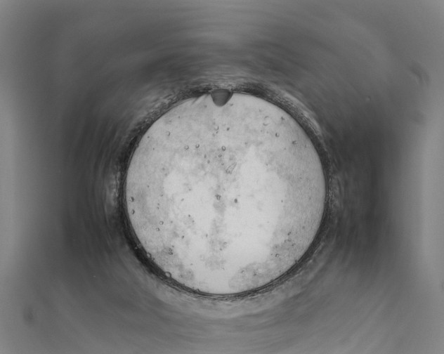 X0000111600018200908131413