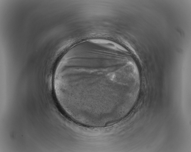 X0000111600019200908131413