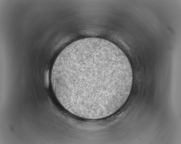 X0000111600020200908131413