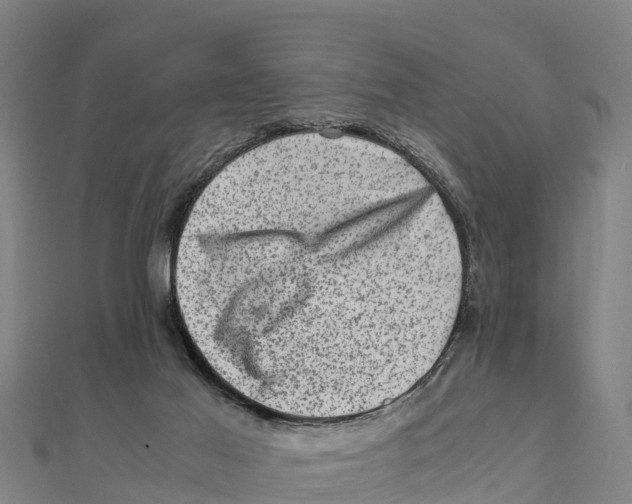 X0000111600021200908131413