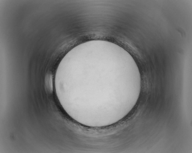 X0000111600022200908131413