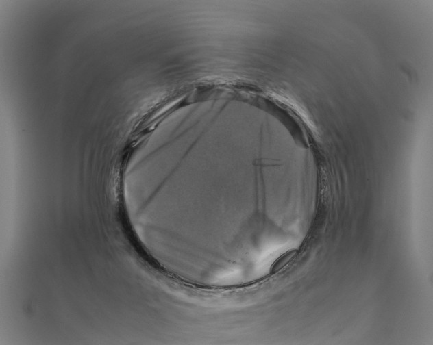 X0000111600023200908131413
