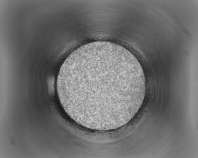 X0000111600024200908131413