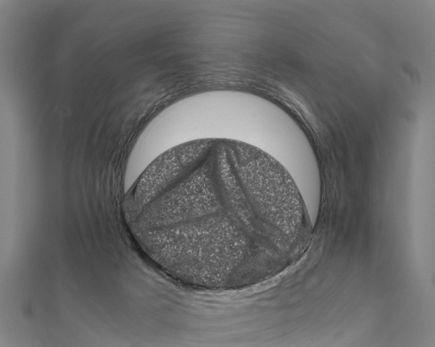 X0000111600025200908131413