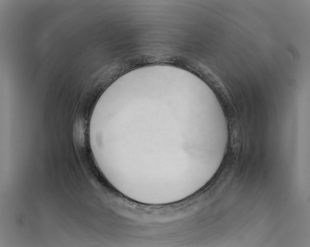 X0000111600026200908131413