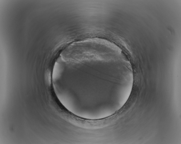 X0000111600027200908131413