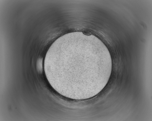 X0000111600028200908131413