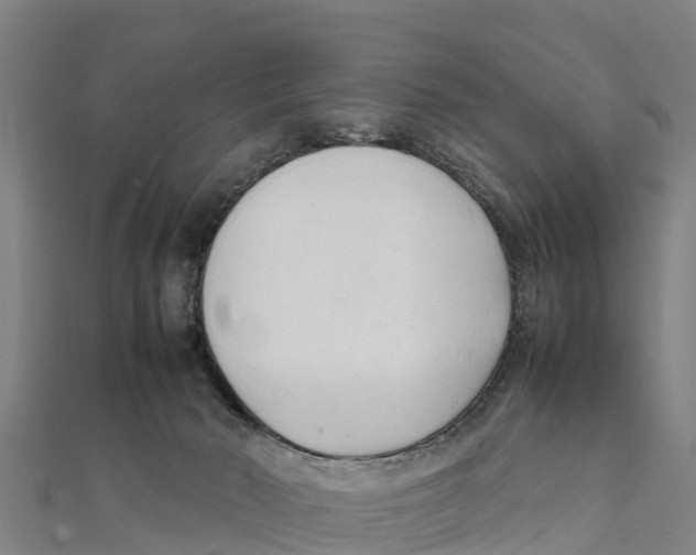 X0000111600030200908131413