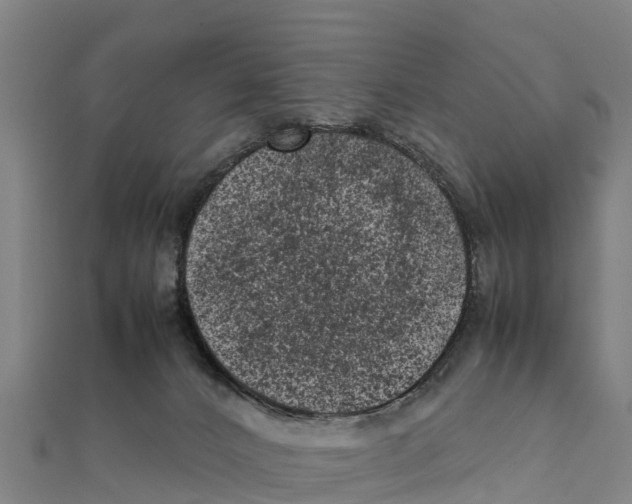 X0000111600032200908131413