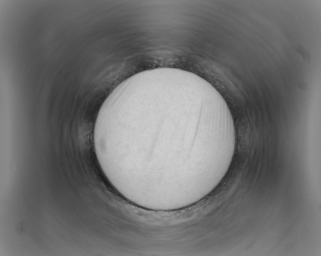 X0000111600034200908131413