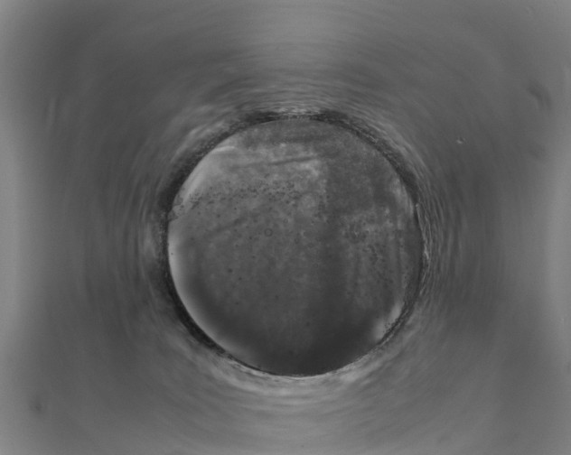 X0000111600035200908131413