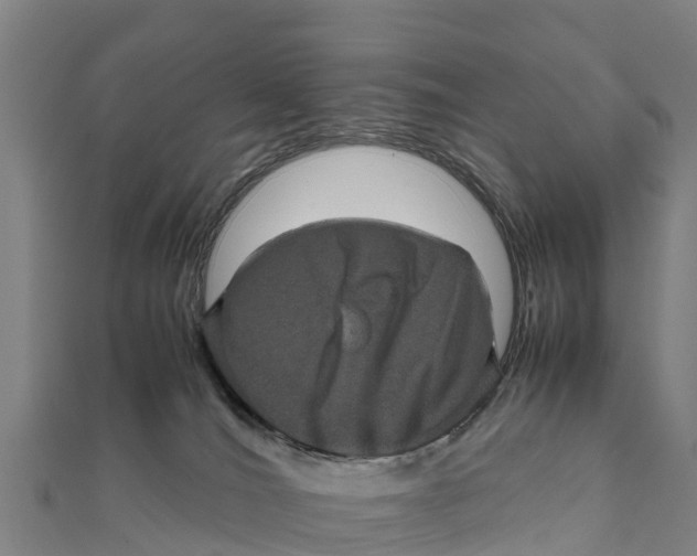 X0000111600036200908131413
