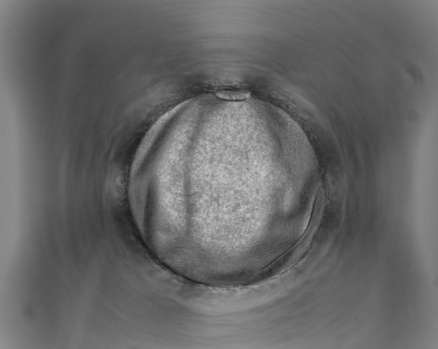X0000111600037200908131413