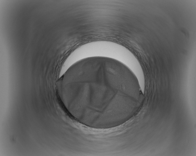 X0000111600039200908131413