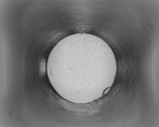 X0000111600042200908131413