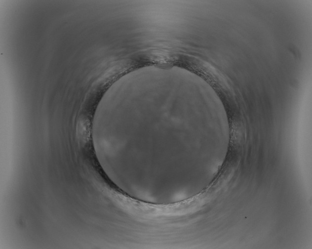 X0000111600043200908131413