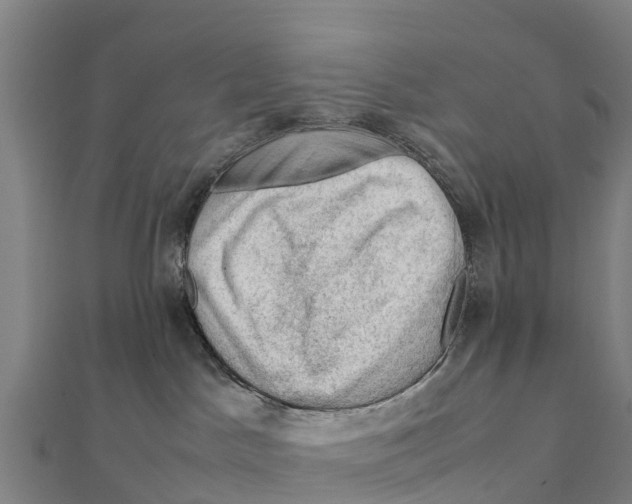 X0000111600045200908131413