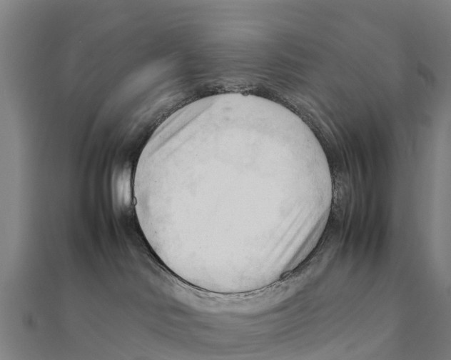 X0000111600046200908131413