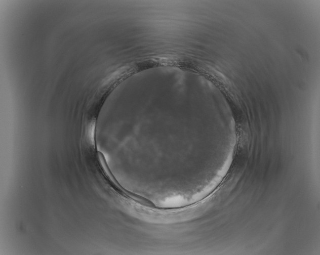 X0000111600047200908131413