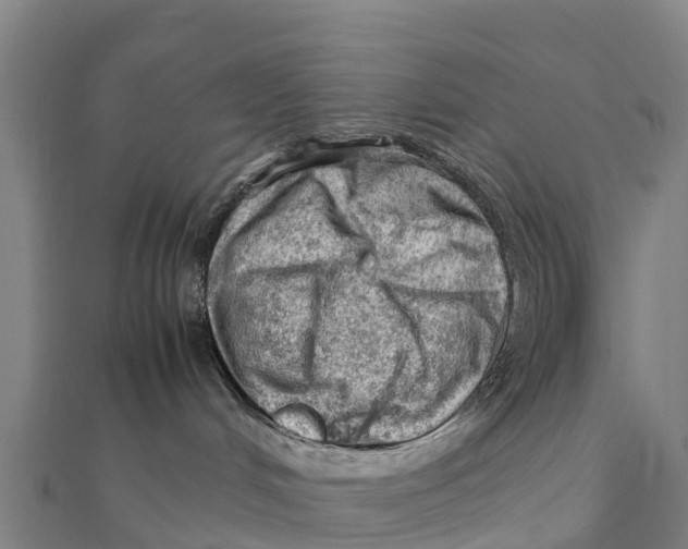 X0000111600048200908131413