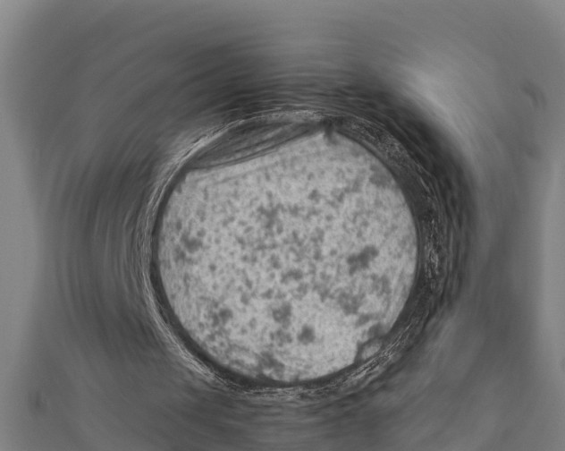 X0000111600049200908131412