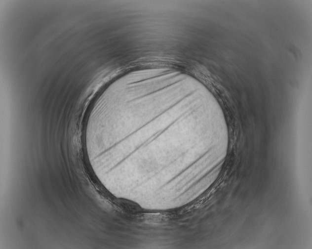 X0000111600050200908131412