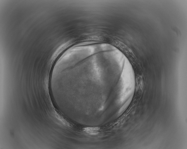 X0000111600051200908131412