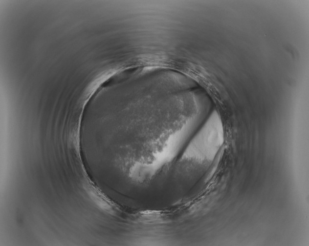 X0000111600052200908131412