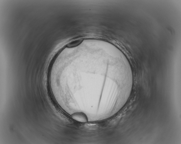 X0000111600055200908131412