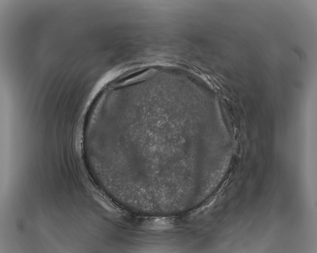X0000111600056200908131412