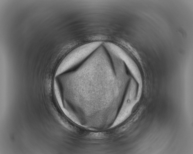 X0000111600057200908131412