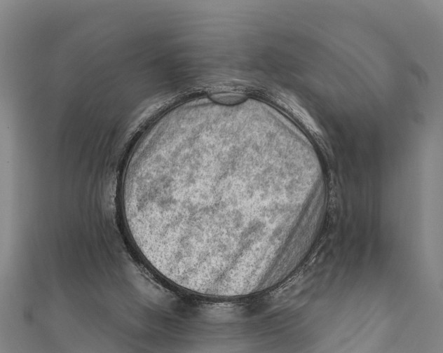 X0000111600058200908131412