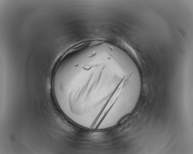 X0000111600059200908131412