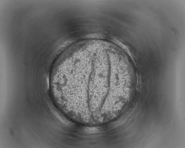 X0000111600061200908131412