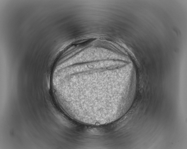 X0000111600062200908131412