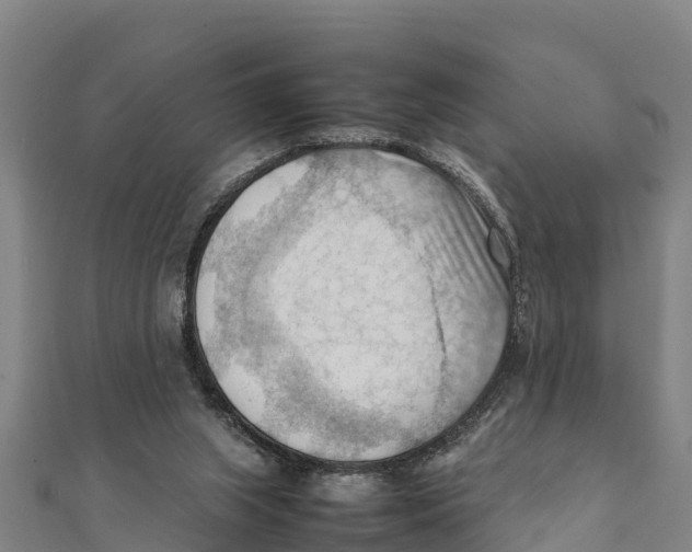 X0000111600063200908131412