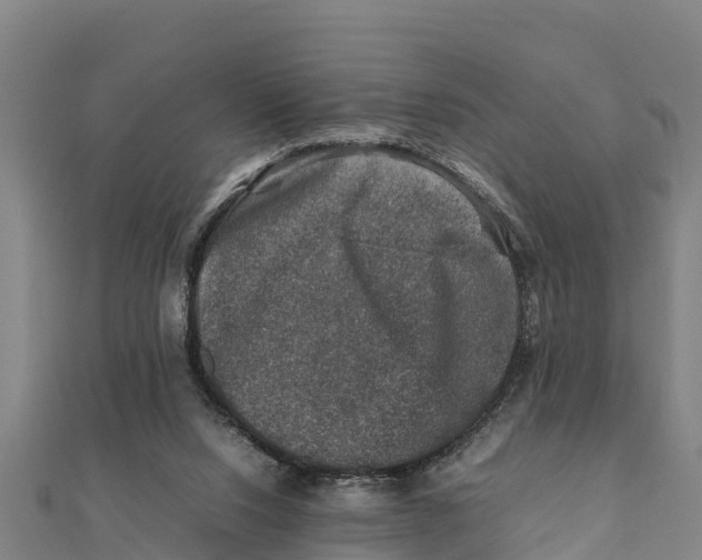 X0000111600064200908131412