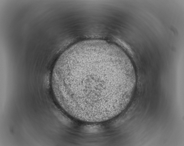 X0000111600065200908131412