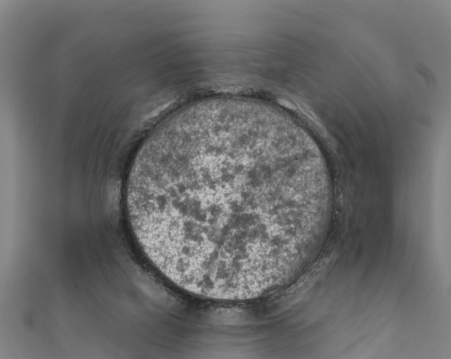 X0000111600066200908131412