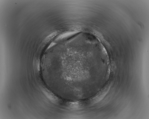 X0000111600068200908131413