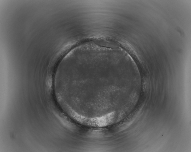 X0000111600072200908131413