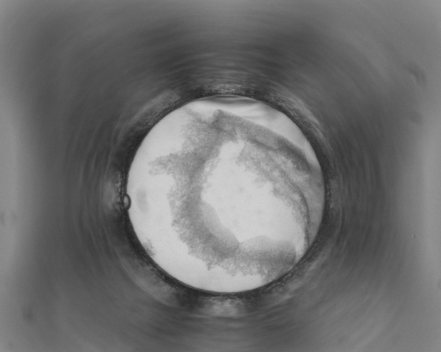 X0000111600073200908131413