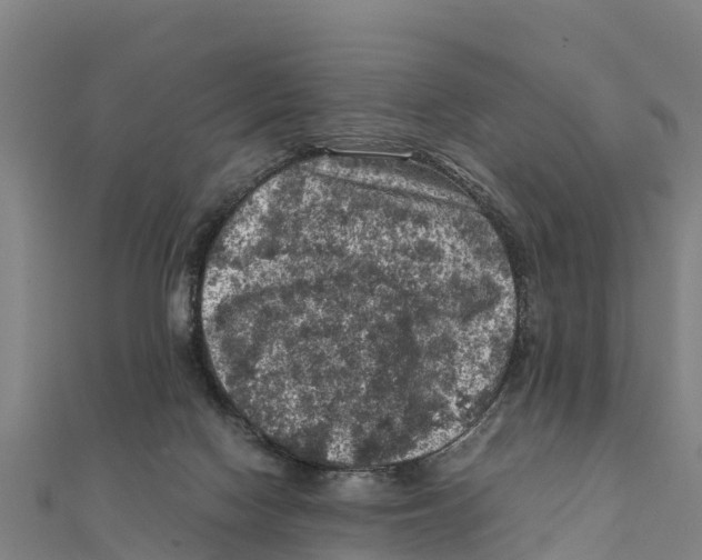 X0000111600074200908131413