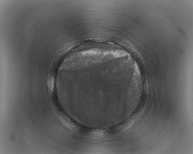 X0000111600076200908131413