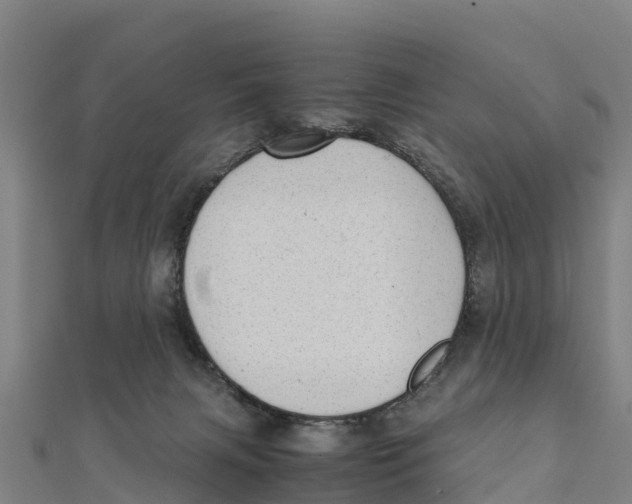 X0000111600079200908131413