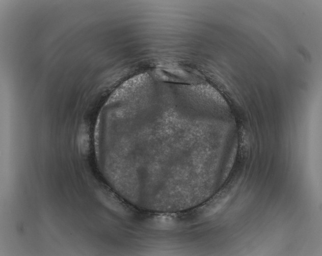 X0000111600080200908131413
