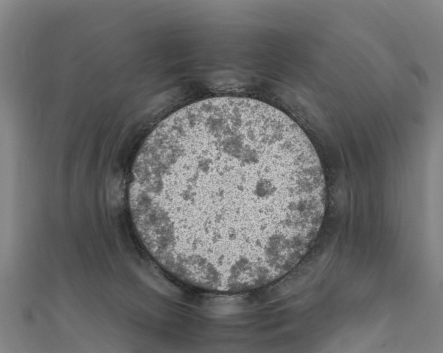 X0000111600081200908131413