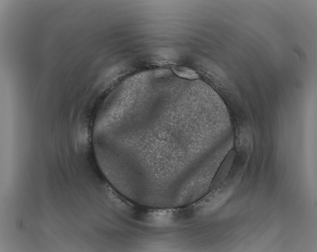X0000111600084200908131413